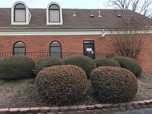 Health Connect America